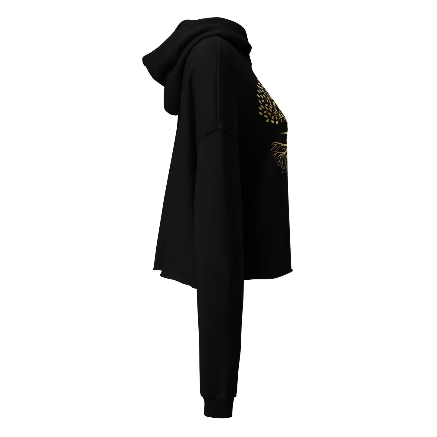 Abide Crop Hoodie
